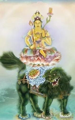 梦境中的守护神，晚上睡觉梦到老虎和狮子都没咬我