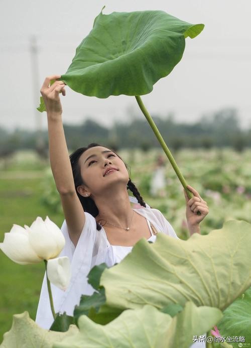 梦境迷雾，探索男性梦中女性的神秘面纱