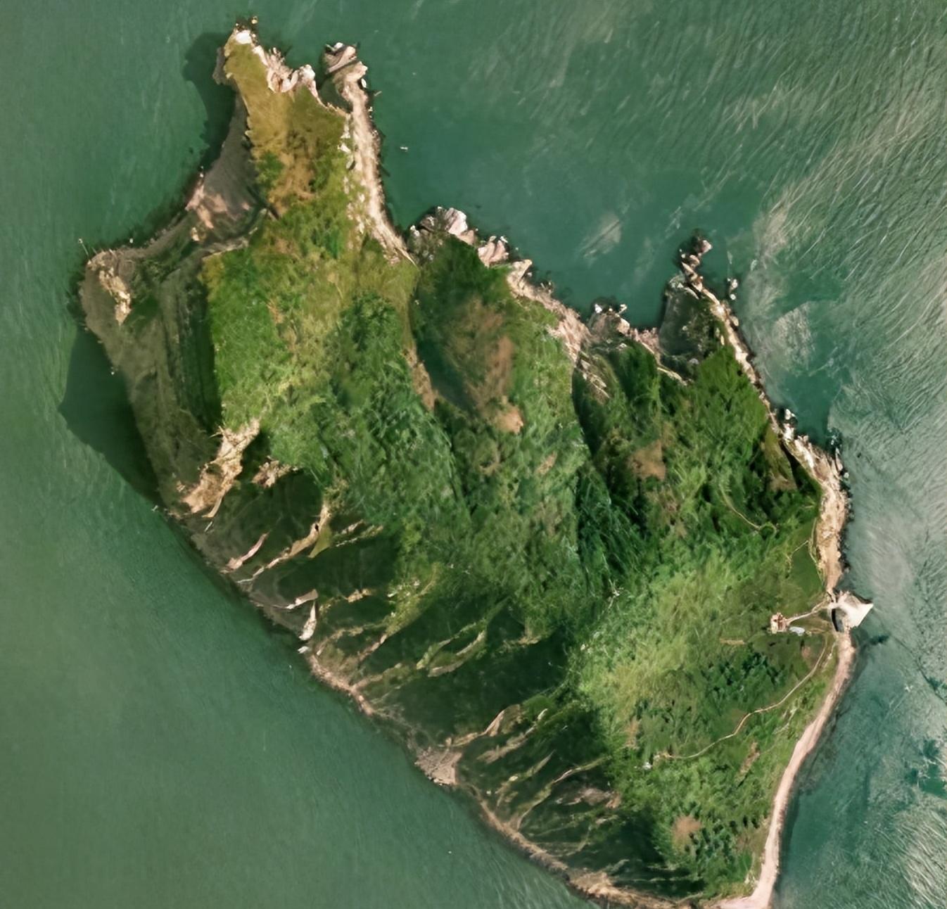 梦境解析，蛇的断裂与重生的象征意义