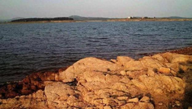 梦境的交织，解析梦到被牛和蛇追的深层含义与心理启示