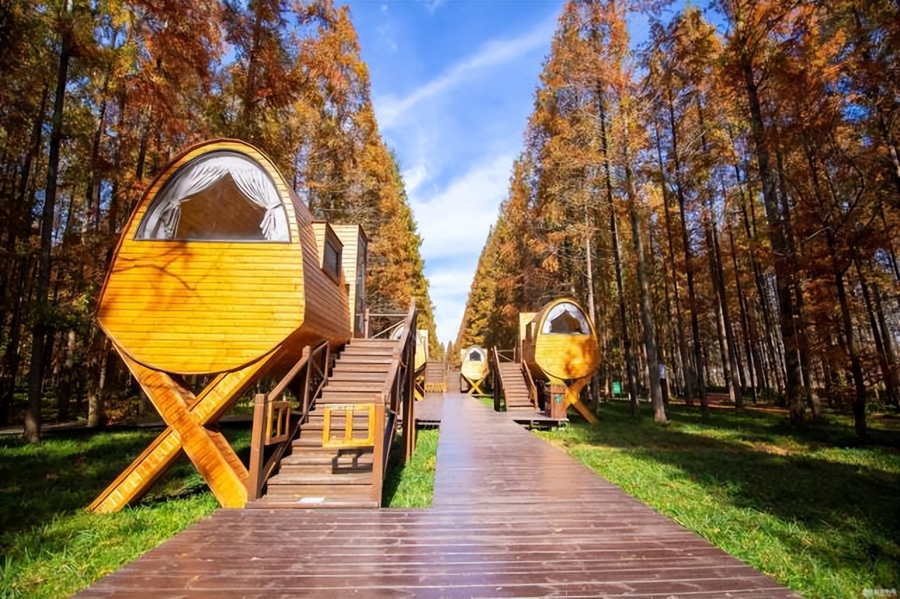 梦境的迷雾，一个女生说梦到男生，却忘记了梦的具体内容