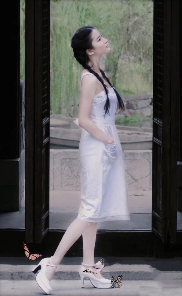 梦见船与鱼，探索梦境深处的奥秘