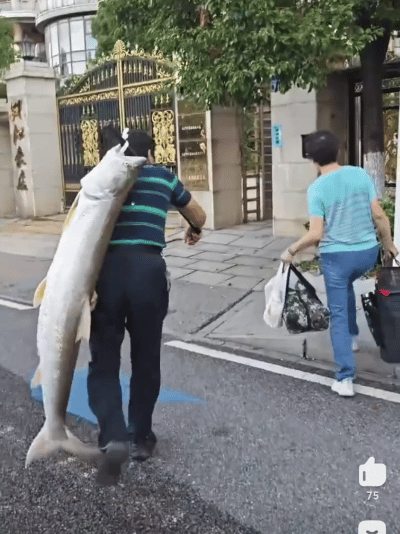 梦境解析，女性梦见钓到大鱼的深层含义与预兆