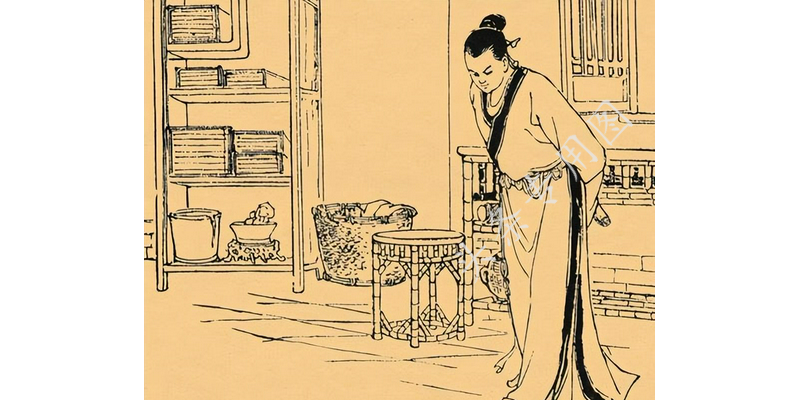 梦境解析，梦见被狗追并杀死狗的意义与启示