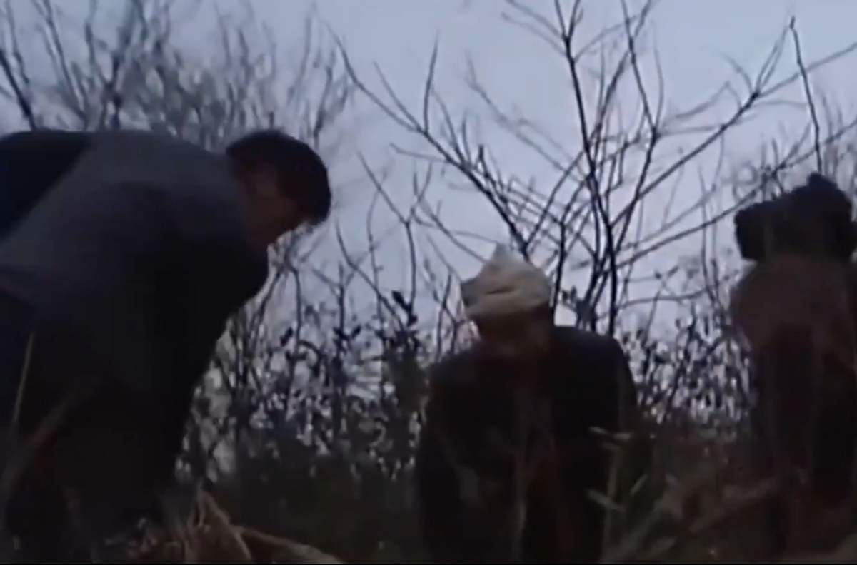 梦见家里遭小偷，探索梦境背后的深层含义与心理解析