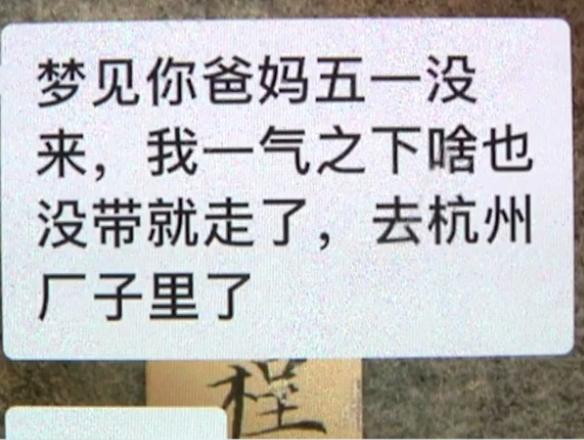 梦见过世的父亲还活着，与父亲的对话，心灵的慰藉