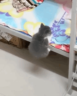 梦境的隐喻，解析梦见别人的裤子脏了，随后歇后大便的深层含义