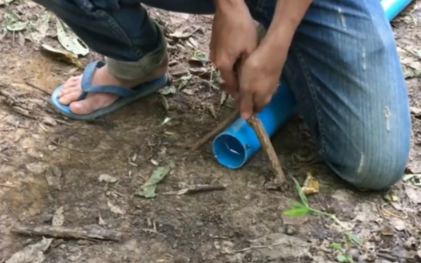 梦见打死蛇，寓意与解梦的深层含义