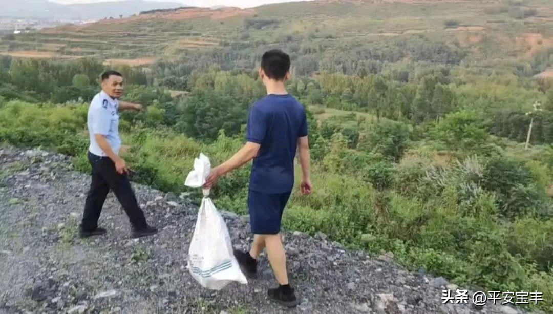 梦境解析，梦到好多大蟒蛇与我对峙