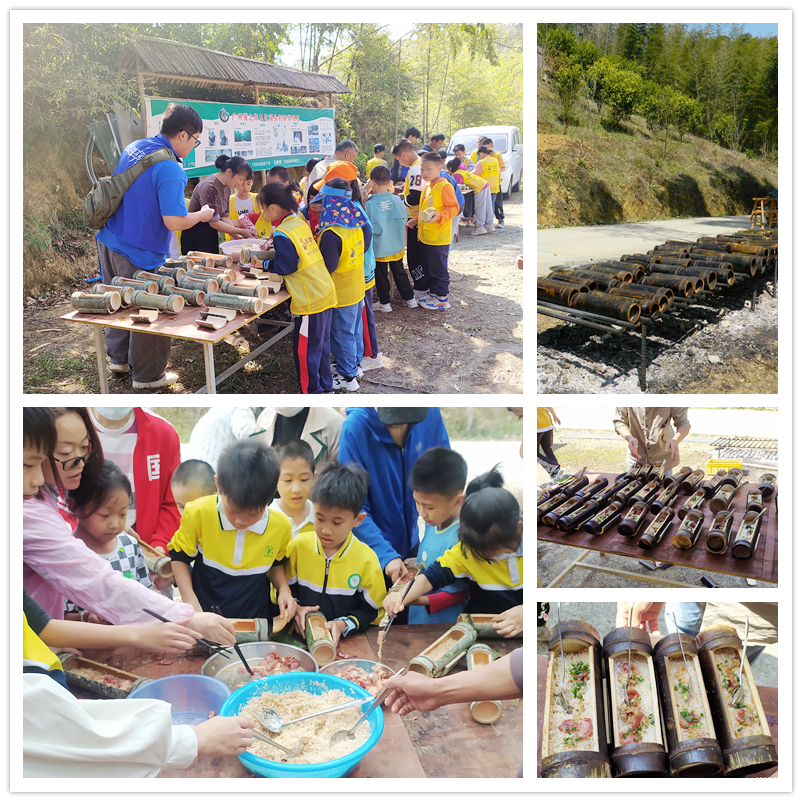 图片[8]-探寻从化区十佳主题餐厅，领略独特美食风情-广州-真探圈圈子-真探圈-成树文创