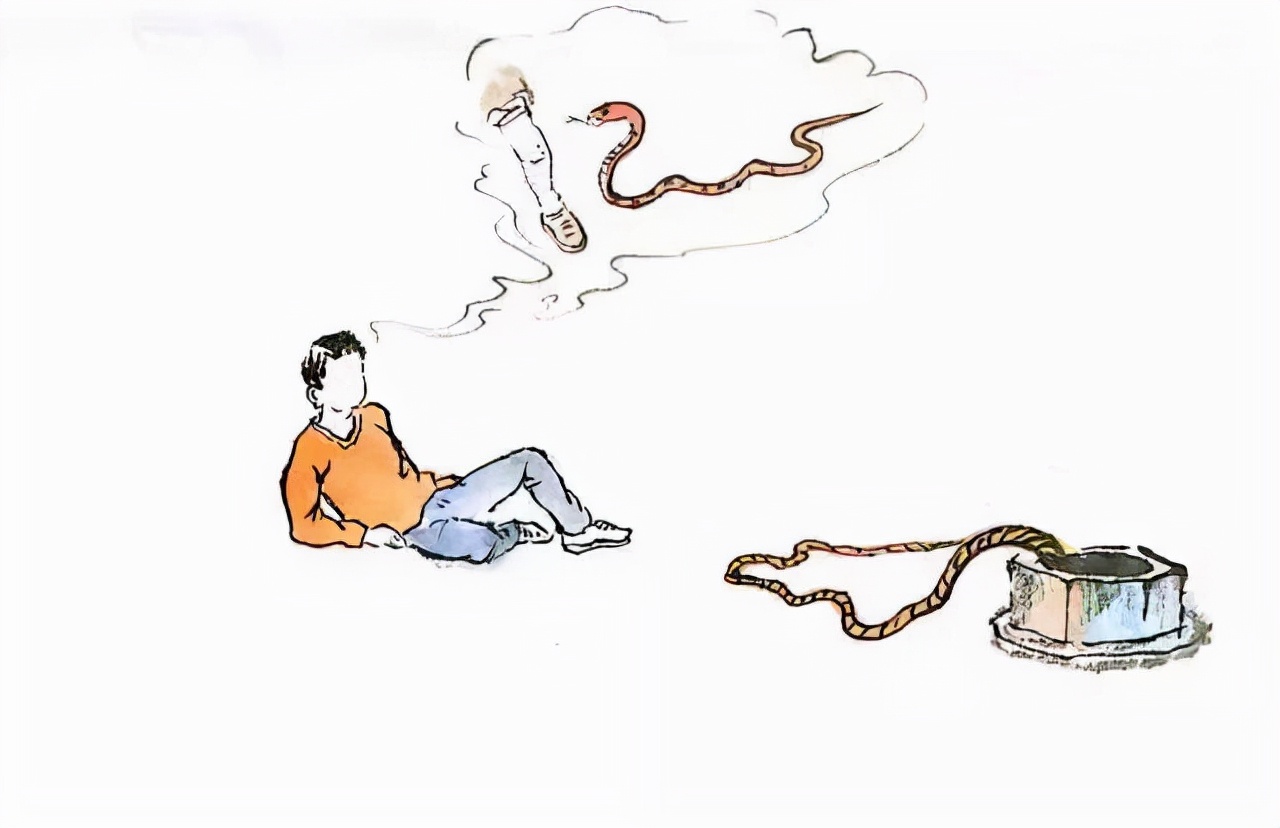 梦境交织，与男友共历蛇影，探索潜意识深处的情感密码