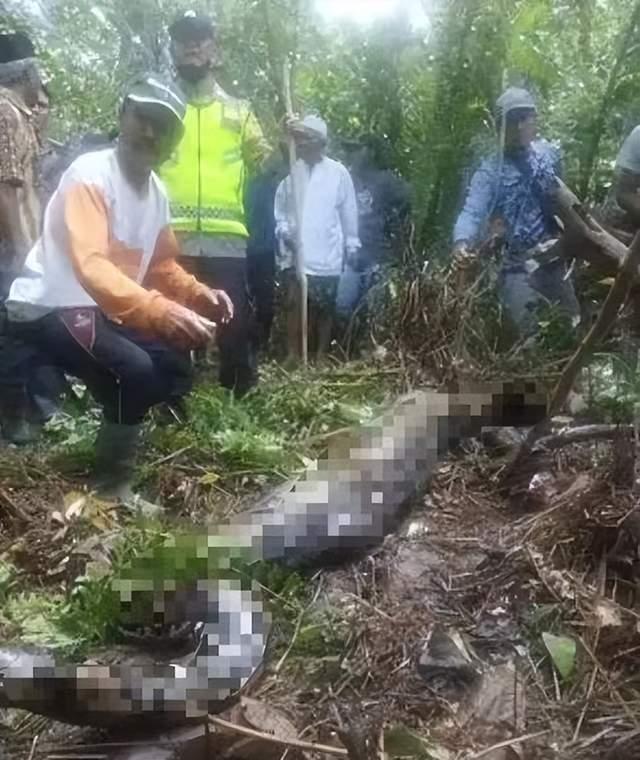 梦境迷思，解析梦见蛇吃人的深层含义与心理暗示