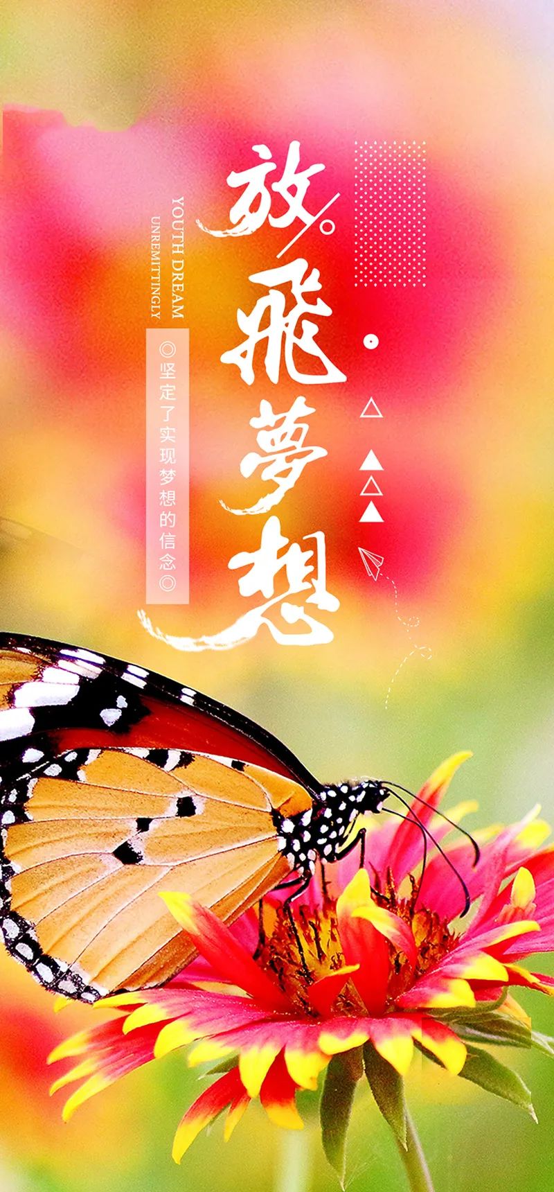 探索梦境之旅，男性朋友梦见飞翔的深层含义与解析