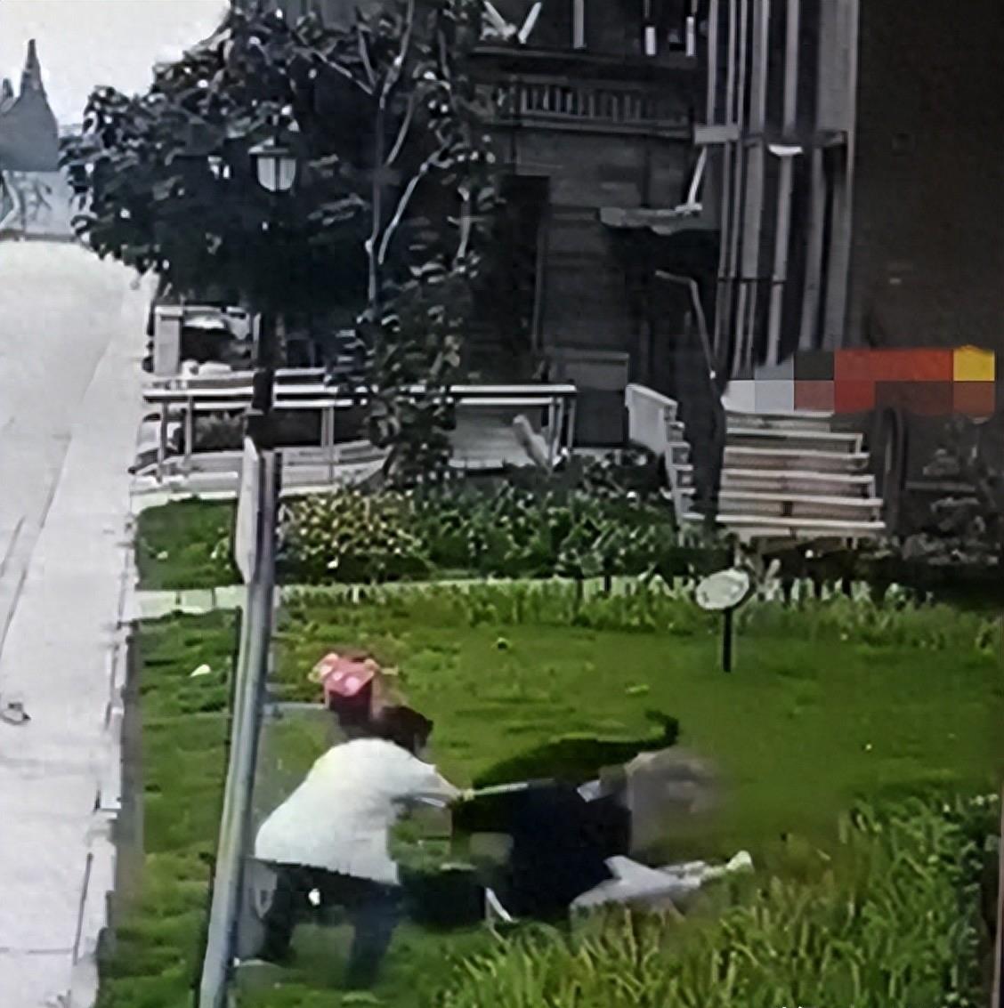 深夜惊醒，梦里犬牙森森，为什么做梦老梦到被狗咬？——从心理学与民俗文化解读你的潜意识警报