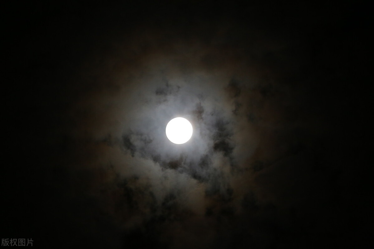 中元节夜梦，与逝去父亲的幽灵交锋，心灵深处的救赎之旅