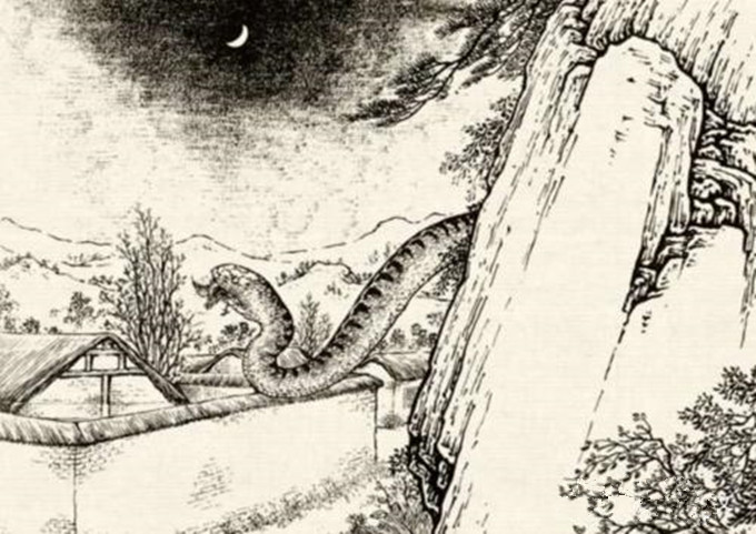 女人梦见路上游得很快的蛇，被追逐的梦境解析与心理启示