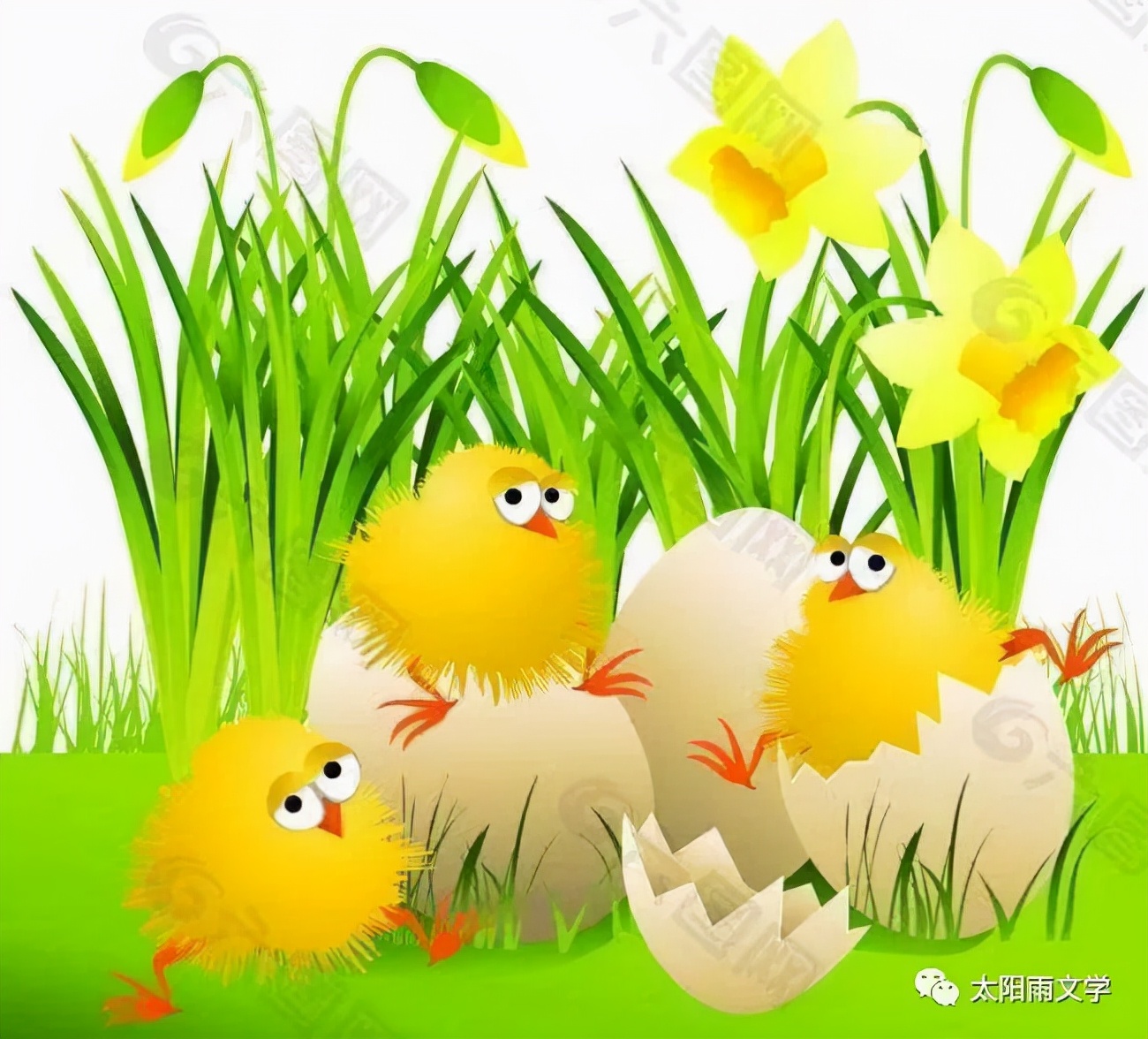 梦境奇遇，梦见水里孵小鸡的深层寓意与心理解析