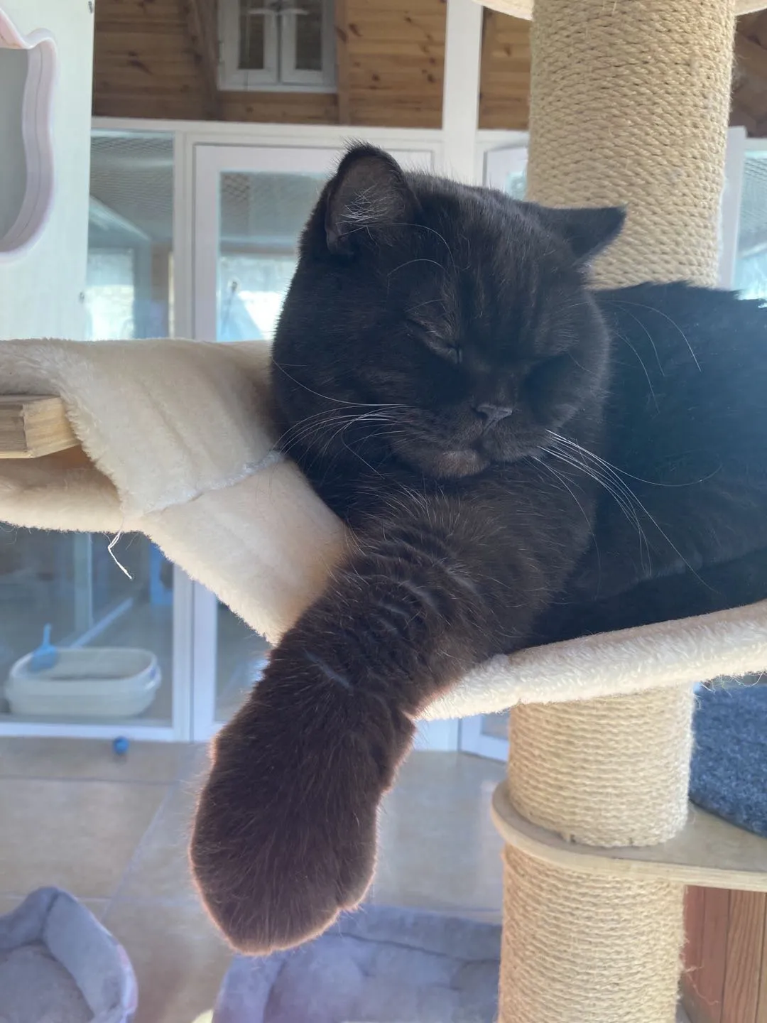 梦见自己和女人接吻，梦境背后的深层含义与解析