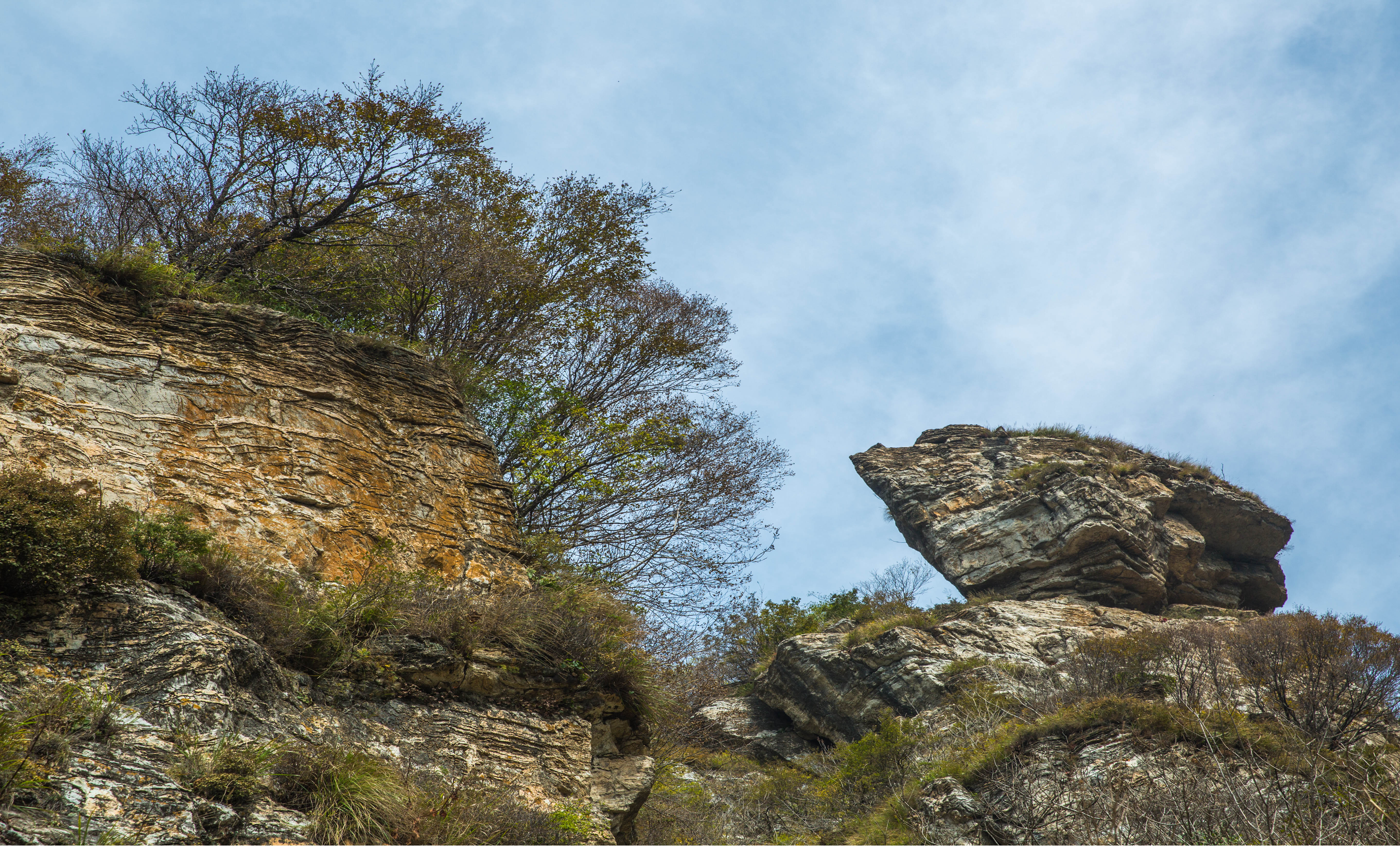 解梦，梦见朋友去世痛哭，情感深处的寓意与心理分析