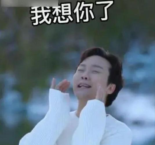 梦见了死去的爸爸但什么也的预兆，深度解析梦境中的情感与象征