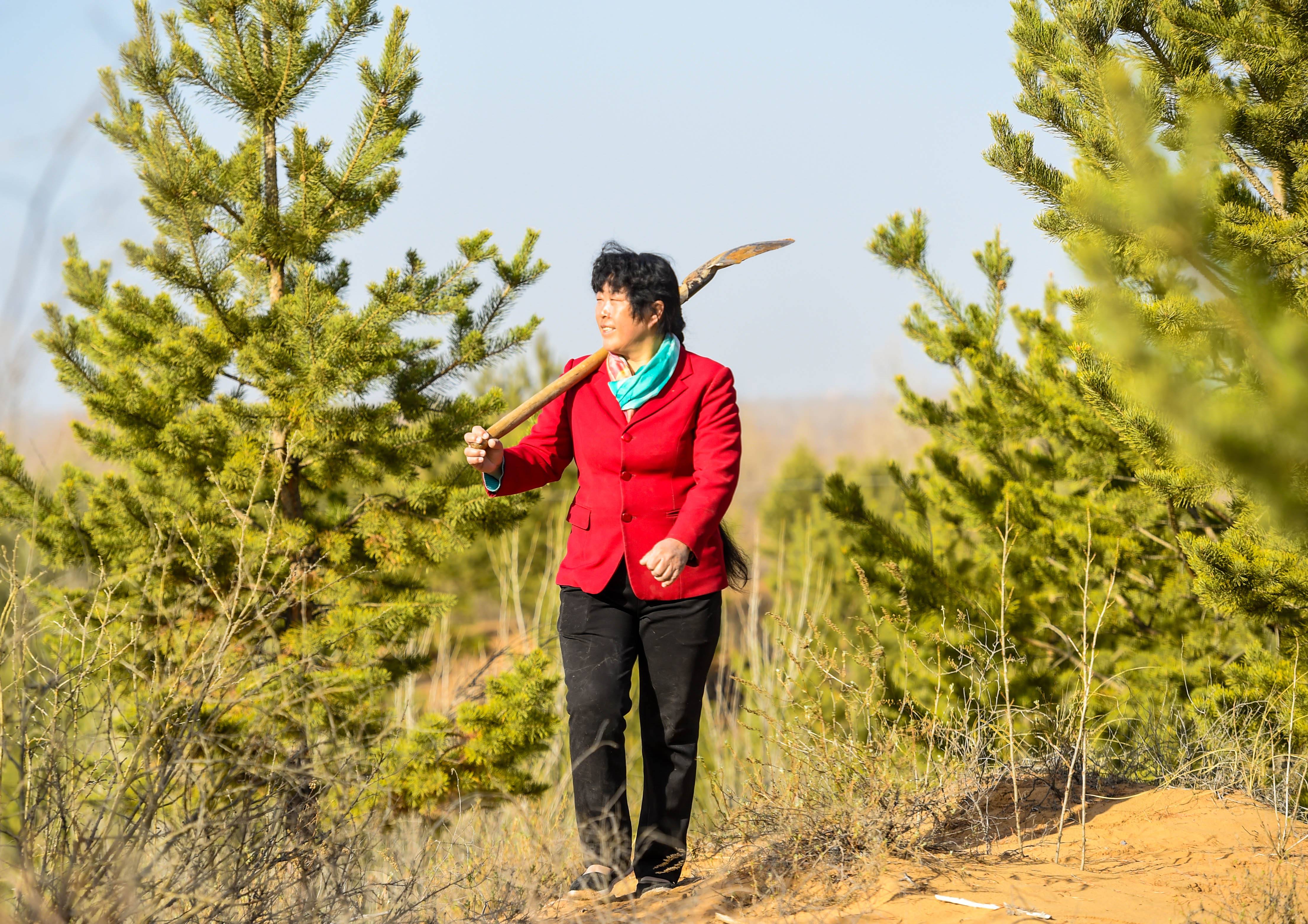 梦境中的重逢，与逝去老友共居的深层含义