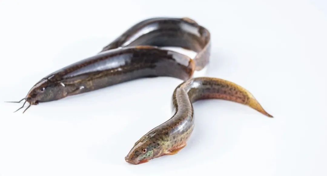 梦到小孩掉水里，深层次的心理预兆与解读