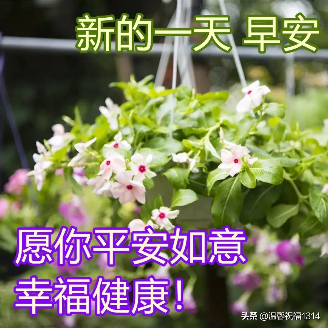 梦中破碎的酒杯，爱与现实的微妙裂痕——解析梦见与爱人干杯时杯子破裂的深层含义