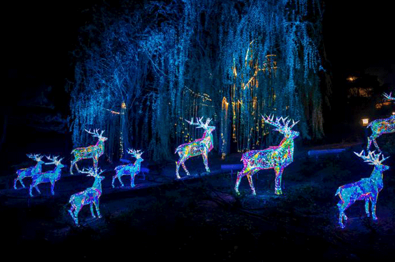 梦境迷途，梦见路与鱼的深层寓意解析