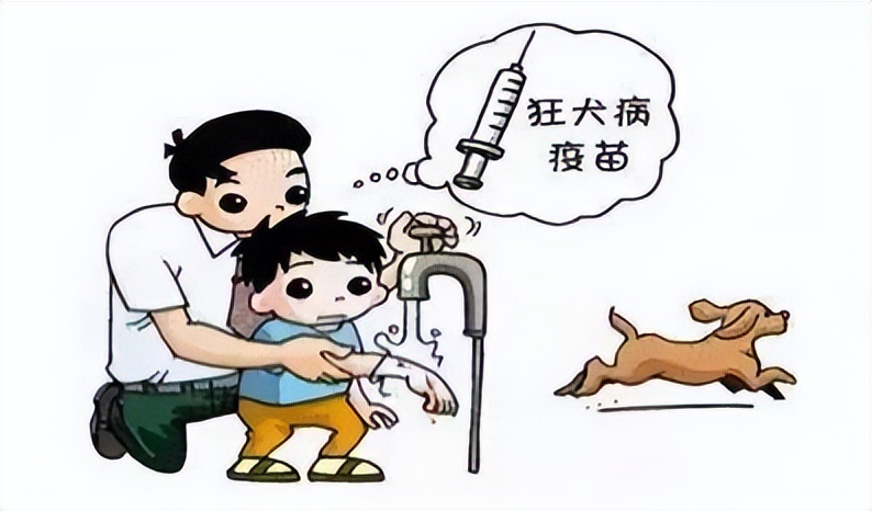 梦到被猫抓伤，解析梦境背后的深层含义与心理暗示
