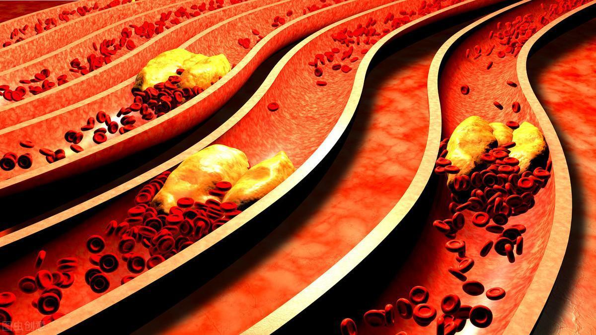 婚前梦境解析，蛇入屋咬人，血色预兆与婚姻的深层关联