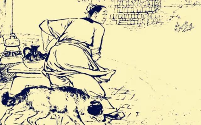 梦境解析，梦见黄狗趴在自己身上，寓意与解读