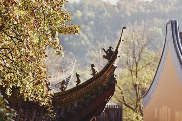 梦境中的解脱，与未婚伴侣离婚后的意外喜悦