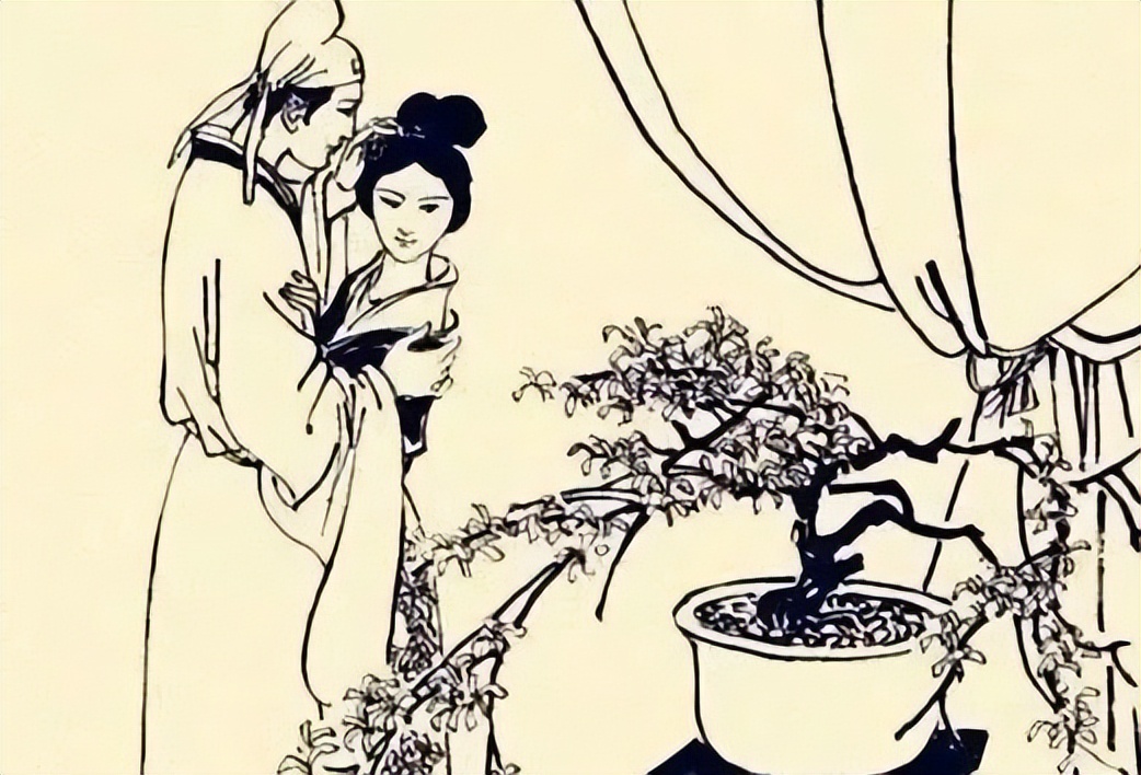 晚上梦见妻子掉了，梦境背后的深层含义与心理解析