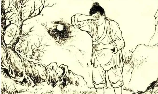 梦境解析，梦见三条大蛇分别盘踞于水中三地