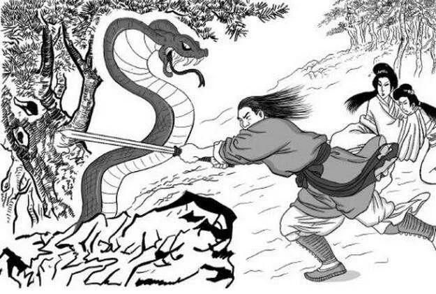 梦境解析，梦见大黑蛇与蟒蛇的交织