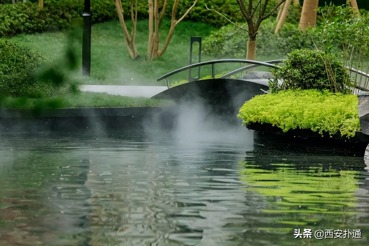 梦里游弋，草间鱼影，探索潜意识中的自然之旅
