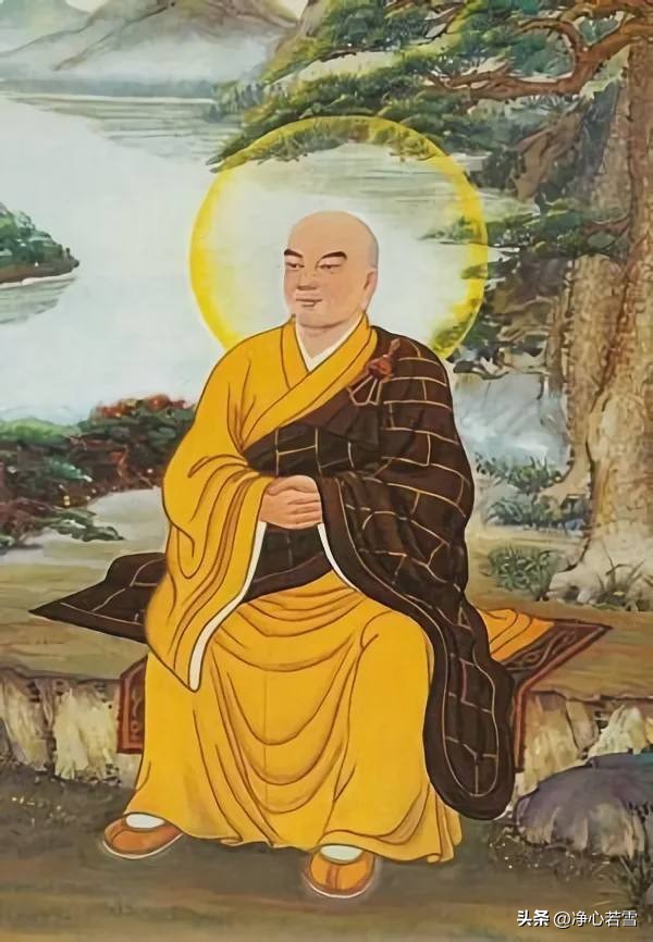梦见一群鸟，探索梦境中的自由与集体力量