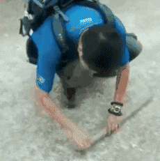 家有孕妇，老公梦到猪咬手，寓意与解梦的深度剖析