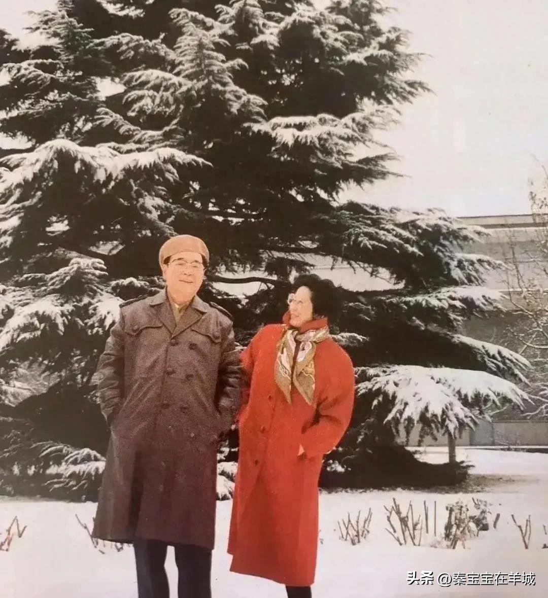 雪中漫步，解梦与相亲男的邂逅