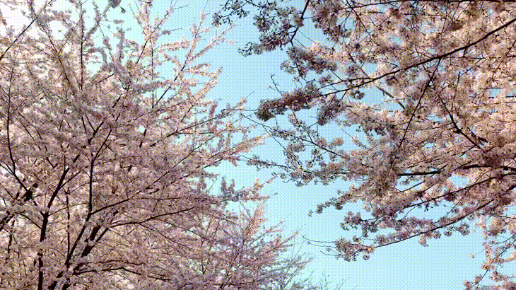 梦境交织，与前男友偶遇现任男友的深层含义解析