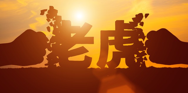梦见老虎，我却无所畏惧，探索梦境背后的深层含义
