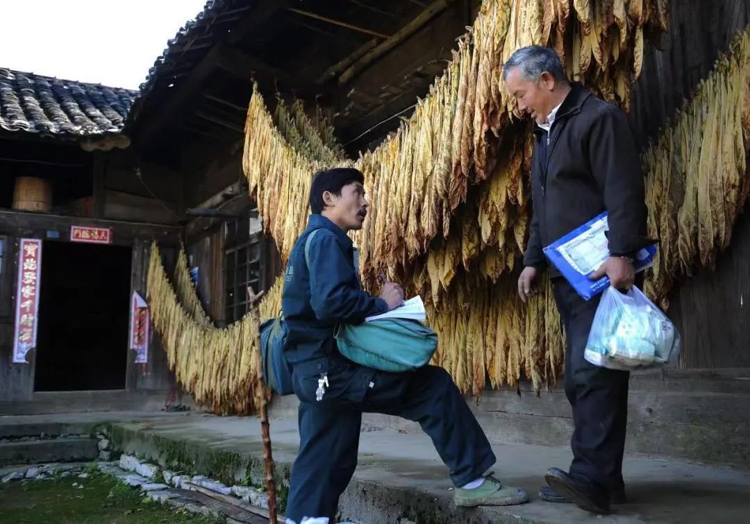 女人梦见狗咬右手，梦境背后的深层解析与心理启示