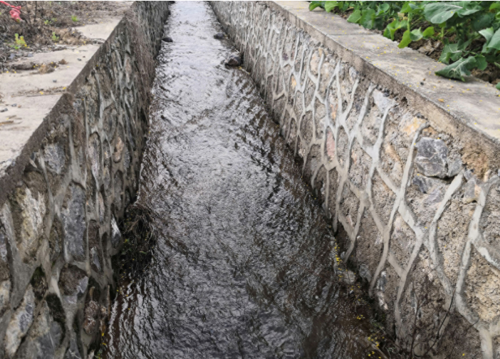 周公解梦，我与朋友共赴生死边缘的梦境解析