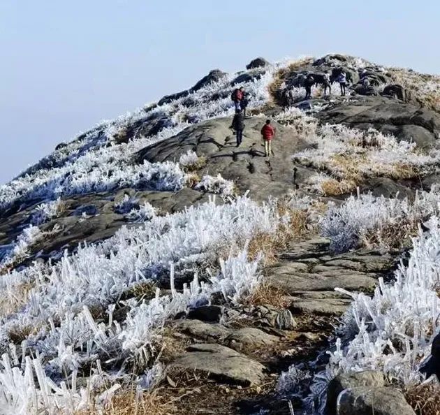 梦的雪域，解读做梦梦见晚上下雪的深层含义与心理暗示