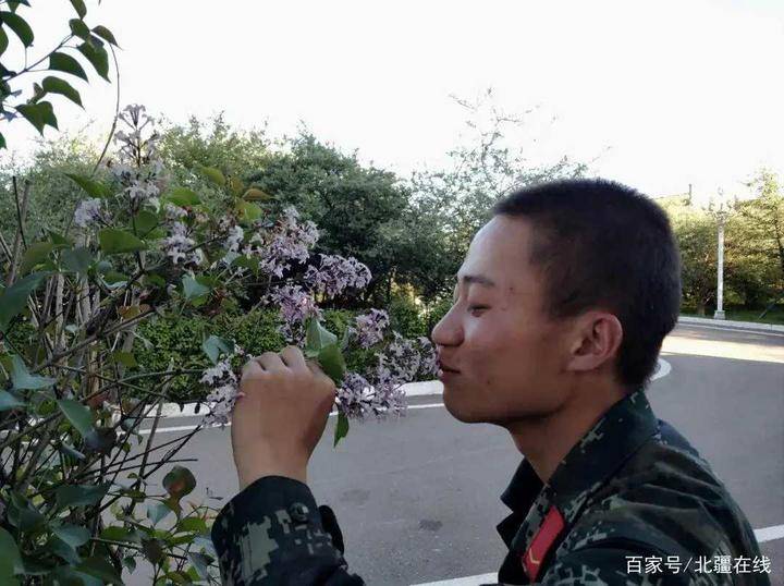 梦见自己流血还感觉疼，梦境背后的深层含义与心理解析