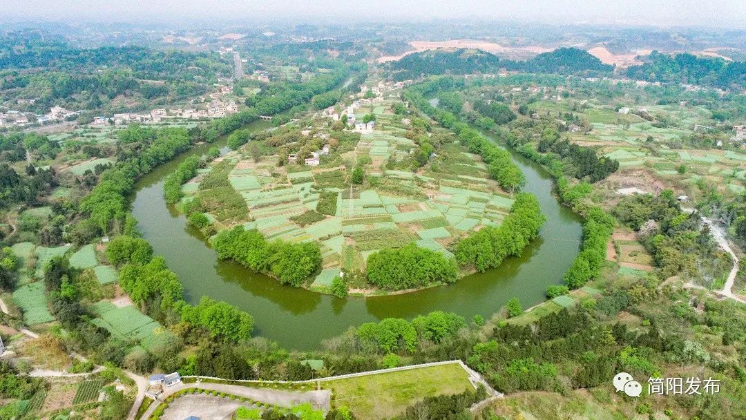 梦境的丰饶之树，解析梦见桃树上结了好多桃子的深层含义