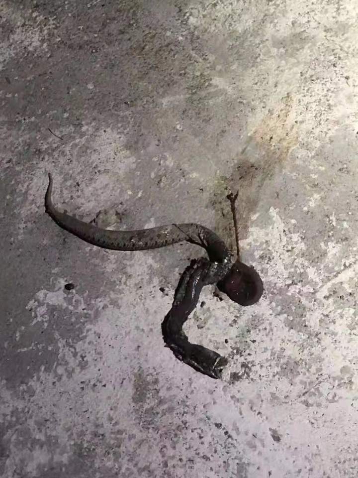 昨夜梦到蛇，是吉是凶？解析梦境中的蛇象征意义