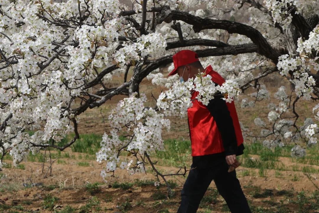 梦境迷离，揭秘梦到人流景象的深层含义与心理解析