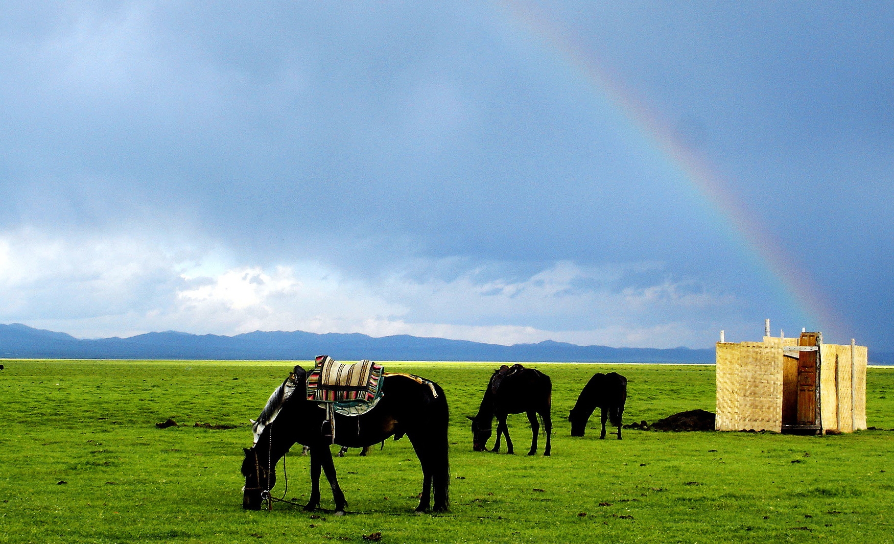 梦境迁徙，探索梦见搬家的深层含义与心理解析