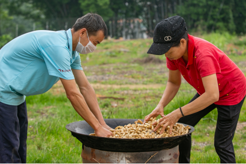 梦境解析，在山间种花生与水之梦的深层含义